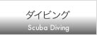 ダイビング