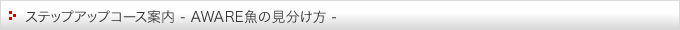 ステップアップコース案内（AWARE魚の見分け方）