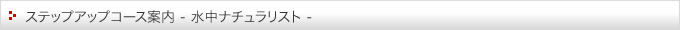 ステップアップコース案内（水中ナチュラリスト）