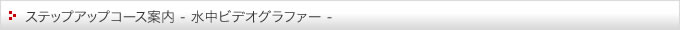 ステップアップコース案内(水中ビデオグラファー)